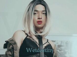 Wetdestiny