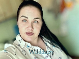 Wilddaisy