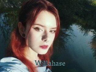 Willahase