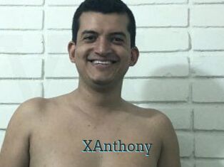 XAnthony