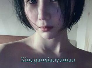 Xingganxiaoyemao