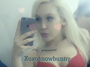 Xoxosnowbunny