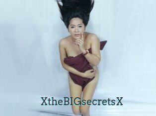 XtheBIGsecretsX