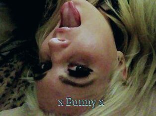 _x_Bunny_x_