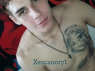 Xescanory1