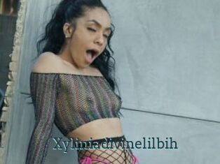 Xyliniadivinelilbih
