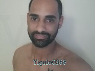 Yigolo0388