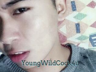 YoungWildCock4u
