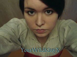 YourWildKittyX