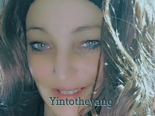 Yintotheyang