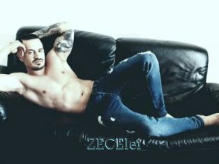 ZECElei