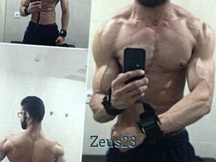Zeus23