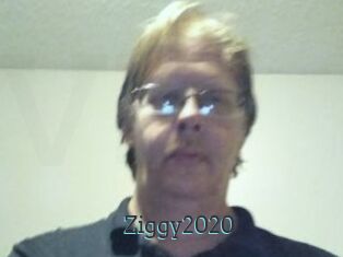 Ziggy2020
