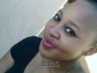 ZinziX