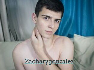Zacharygonzalez