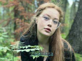 Zadnizza