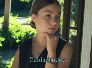 Zeldadrudge