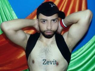 Zevit