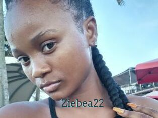 Ziebea22