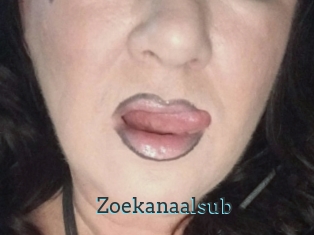 Zoekanaalsub
