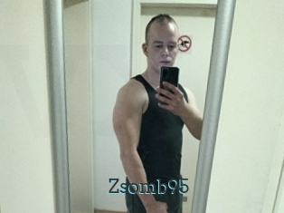 Zsomb95